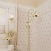 Душевой гарнитур Boheme Imperiale 402 с верхним душем 20 см, 1 режим лейки, золото